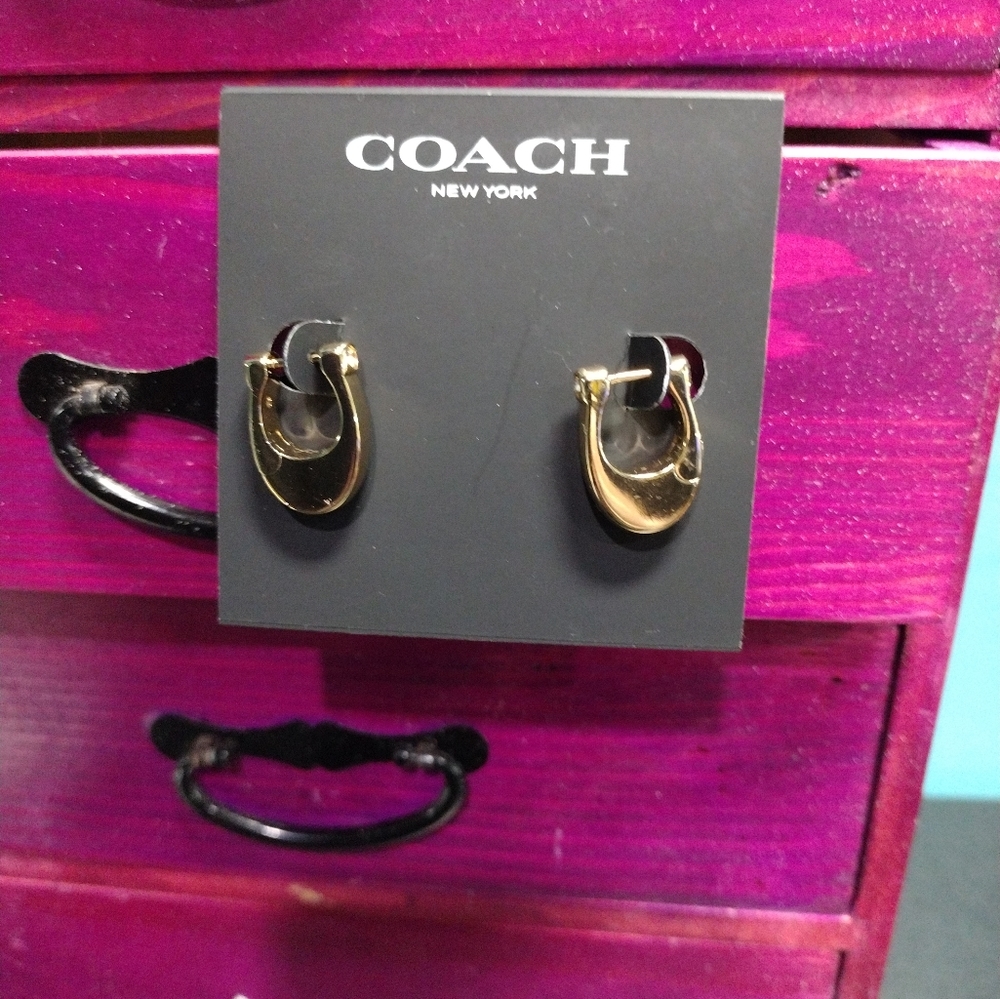 BNWT Coach earrings